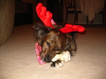 nicoles pics 408