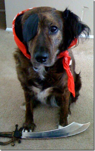 Missy Halloween